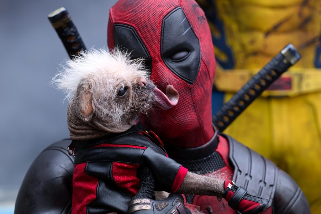 Deadpool en Dogpool