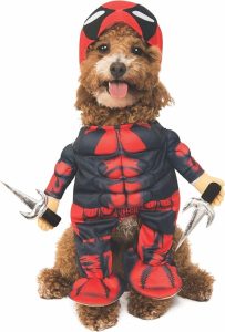 Marvel Dogpool Deadpool kostuum